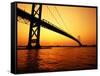 Ambassador Bridge, U.S.A.-Greg Johnston-Framed Stretched Canvas