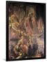 Ambassadors of Pope and Venetians Pleading with Barbarossa for Peace in Vain-Jacopo Tintoretto-Framed Giclee Print