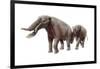 Ambelodon-null-Framed Photographic Print