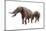 Ambelodon-null-Mounted Photographic Print