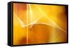 Amber Abstract II-Douglas Taylor-Framed Stretched Canvas