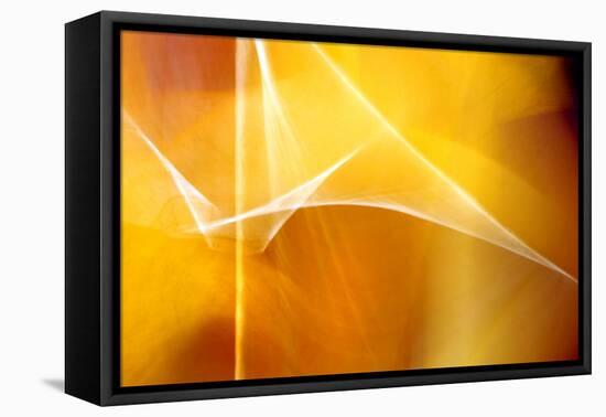 Amber Abstract II-Douglas Taylor-Framed Stretched Canvas