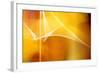 Amber Abstract II-Douglas Taylor-Framed Photographic Print