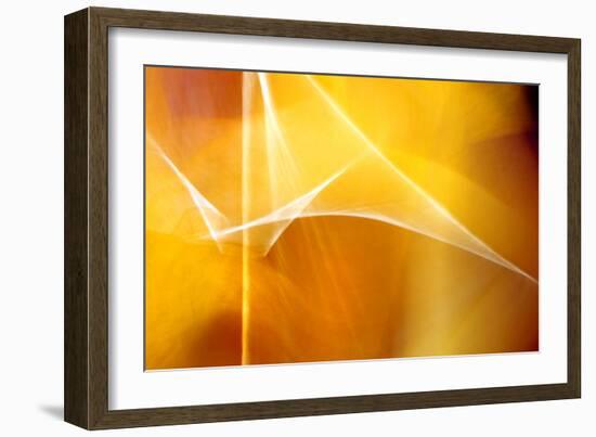 Amber Abstract II-Douglas Taylor-Framed Photographic Print