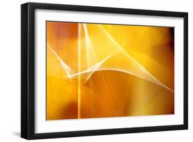 Amber Abstract II-Douglas Taylor-Framed Photographic Print