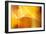 Amber Abstract II-Douglas Taylor-Framed Photographic Print
