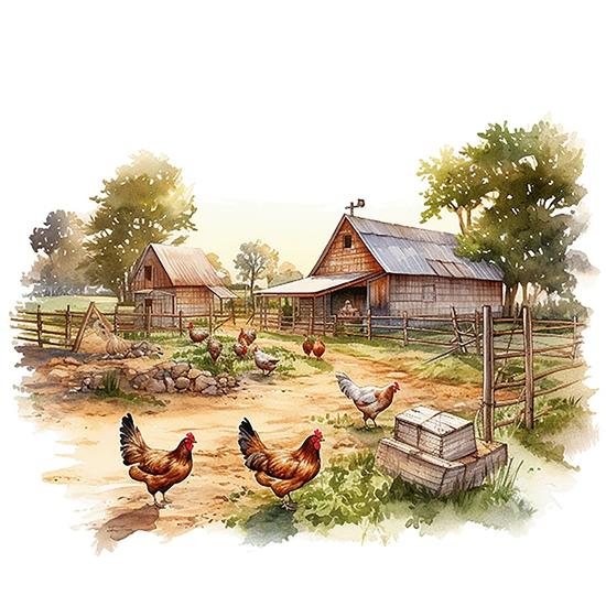 Art Print, , large