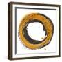 Amber Enso I-Chris Paschke-Framed Art Print