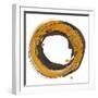 Amber Enso I-Chris Paschke-Framed Art Print