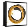 Amber Enso III-Chris Paschke-Framed Stretched Canvas