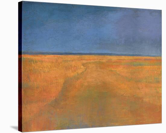 Amber Field-Jeannie Sellmer-Stretched Canvas