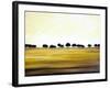 Amber Fields-Herb Dickinson-Framed Photographic Print