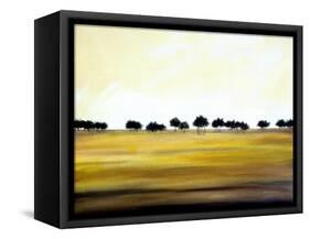 Amber Fields-Herb Dickinson-Framed Stretched Canvas