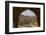 Amber Fort, Jaipur, Rajasthan, India, Asia-Peter Barritt-Framed Photographic Print