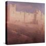 Amber Fort, Jaipur-Lincoln Seligman-Stretched Canvas