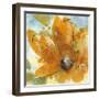 Amber Gold I-Chris Paschke-Framed Art Print