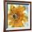 Amber Gold II-Chris Paschke-Framed Art Print