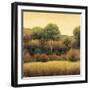 Amber Horizon 1-James Wiens-Framed Art Print