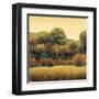 Amber Horizon 1-James Wiens-Framed Art Print