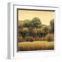 Amber Horizon 1-James Wiens-Framed Art Print