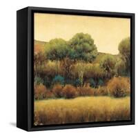 Amber Horizon 1-James Wiens-Framed Stretched Canvas