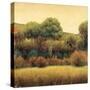 Amber Horizon 1-James Wiens-Stretched Canvas
