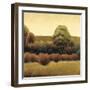 Amber Horizon 2-James Wiens-Framed Art Print