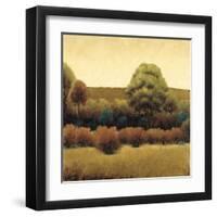 Amber Horizon 2-James Wiens-Framed Art Print