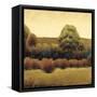 Amber Horizon 2-James Wiens-Framed Stretched Canvas