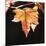 Amber Leaves III-Rita Crane-Mounted Photographic Print
