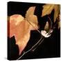 Amber Leaves IV-Rita Crane-Stretched Canvas