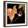 Amber Leaves IV-Rita Crane-Framed Photographic Print