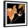 Amber Leaves IV-Rita Crane-Framed Photographic Print