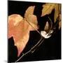 Amber Leaves IV-Rita Crane-Mounted Photographic Print