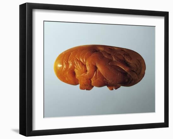 Amber Lid of Perfume Jar, Decorated with Carved Figure of Dolphin-null-Framed Giclee Print