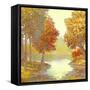 Amber Nature 1-Arnie Fisk-Framed Stretched Canvas