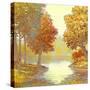 Amber Nature 1-Arnie Fisk-Stretched Canvas