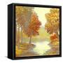 Amber Nature 1-Arnie Fisk-Framed Stretched Canvas