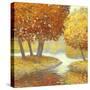 Amber Nature 2-Arnie Fisk-Stretched Canvas