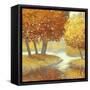 Amber Nature 2-Arnie Fisk-Framed Stretched Canvas