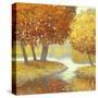 Amber Nature 2-Arnie Fisk-Stretched Canvas