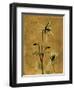 Amber Opus Columbine-Albert Koetsier-Framed Premium Giclee Print