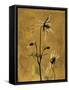 Amber Opus Columbine-Albert Koetsier-Framed Stretched Canvas