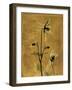 Amber Opus Columbine-Albert Koetsier-Framed Art Print