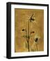 Amber Opus Columbine-Albert Koetsier-Framed Art Print