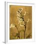 Amber Opus Foxglove-Albert Koetsier-Framed Art Print