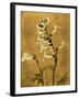 Amber Opus Foxglove-Albert Koetsier-Framed Art Print