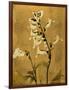 Amber Opus Foxglove-Albert Koetsier-Framed Art Print