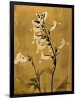 Amber Opus Foxglove-Albert Koetsier-Framed Art Print