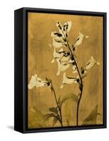 Amber Opus Foxglove-Albert Koetsier-Framed Stretched Canvas